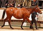 Immortal Verse sold for 4.7 million guineas on December 3.