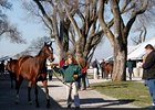 Keeneland January Sale