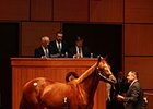 Hip 384 by Distorted Humor sold for $500,000.