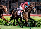 Silic won the 1999 Breeders' Cup Mile.<br><a target="blank" href="http://photos.bloodhorse.com/Classics/Classic-Photos/22651042_hrMBZZ#!i=2733323606&k=wdz22q4">Order This Photo</a>