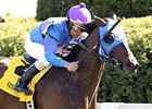 Something Extra won the Shakertown Stakes at Keeneland on April 4.
