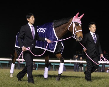 Gentildonna Retirement Ceremony in Japan.