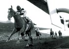The Golden Era of the Santa Anita Handicap The Golden Era of the Santa Anita Handicap