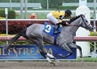 Flashy Gray Makes Stakes Debut in Honeybee Flashy Gray Makes Stakes Debut in Honeybee