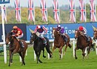 Seal of Approval Shocks Ascot Champions Event Seal of Approval Shocks Ascot Champions Event