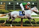 Halo America wins 1997 Apple Blossom Handicap.