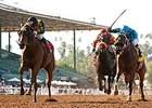 Harlington's Rose won the Las Flores Stakes (gr. III) on March 8.