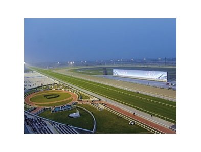 Meydan Race Track