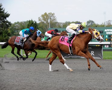 Tom and Matt Conway’s Matthewsburg, sent off at 9-1, overtook the leaders in upper stretch and drew clear for a 2 1/4-length upset in the Grade III $100,000 Speightstown Kentucky Cup Sprint on September 24, 2011 at Turfway Park.