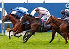 Farhh (left) takes the QIPCO Champion Stakes over Cirrus Des Aigles (center) and Ruler of The World.<br><a target="blank" href="http://photos.bloodhorse.com/AtTheRaces-1/at-the-races-2013/27257665_QgCqdh#!i=2843973930&k=zJcRRpq">Order This Photo</a>