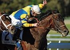 Tampa Bay Derby Was Perfect for Street Sense Tampa Bay Derby Was Perfect for Street Sense