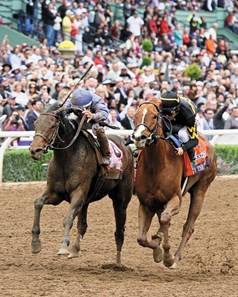 Judy the Beauty and jockey Mike Smith battle down the stretch to win the 2014 Breeders' Cup Filly & Mare Sprint at Santa Anita Park.