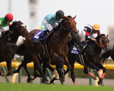 Spielberg, a half brother to U.S. grade I winner and Central Kentucky sire Flower Alley, flew by dueling front-runners Isla Bonita and Gentildonna late and narrowly won the Tenno Sho (Autumn) (Jpn-I) at Tokyo Racecourse in Japan.