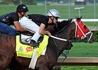 International Star worked five furlongs in 1:01 4/5.<br><a target="blank" href="http://photos.bloodhorse.com/TripleCrown/2015-Triple-Crown/Kentucky-Derby-Workouts/i-nRd7tMb">Order This Photo</a>
