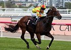 Lankan Rupee Tastes Victory in Black Caviar Lankan Rupee Tastes Victory in Black Caviar