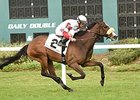 Stephanie's Kitten comes up the inside to take the Hillsborough Stakes.