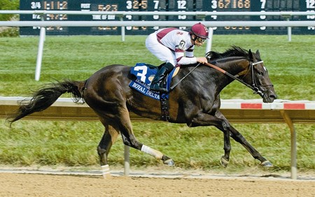 Royal Delta and jockey Mike Smith winning the 2013 Delaware Handicap (G1).