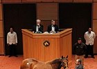 BetterBetterBetter, in foal to War Front, sold for $5.2 million at the Fasig-Tipton November sale.