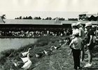 Saratoga Diary: What Was and Could Have Been Saratoga Diary: What Was and Could Have Been