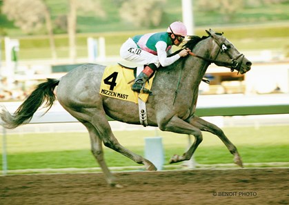 Kent Desormeaux guides Mizzen Mast to a 4-length victory in the $400,000 Strub Stakes (gr. IIT) Saturday, Feb. 2, 2002 at Santa Anita Park.