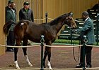 Hip 402, a weanling filly by Tapit, set a new North American weanling record, bringing $3 million.