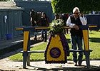 BC 2014: Bob Baffert Post Breeders' Cup Interview BC 2014: Bob Baffert Post Breeders' Cup Interview