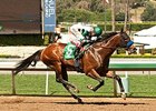 One Lucky Dane Impresses in 3-Year-Old Debut One Lucky Dane Impresses in 3-Year-Old Debut