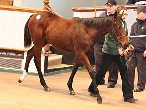 Marks Set as Tattersalls Foal Sale Concludes Marks Set as Tattersalls Foal Sale Concludes