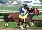 Derby Notes: Three Scheduled to Work Saturday Derby Notes: Three Scheduled to Work Saturday