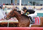 Long On Value won the 2015 Canadian Turf.<br><a target="blank" href="http://photos.bloodhorse.com/AtTheRaces-1/At-the-Races-2015/i-p72F9n5">Order This Photo</a>