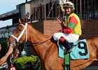 Jockey Luis Saez had 5 winners on May 31 at Belmont Park.