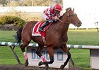 Commander winning the BC Premiers Stakes.