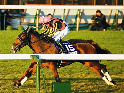 Gentildonna (Deep Impact x Donna Blini, Bertolini) wins a duel with Horse of the Year Orfevre in the final moments of the 32nd Japan Cup at Tokyo Racecourse on November 25th, 2012.