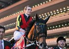 In an exhilarating finish to the 33rd renewal of the Japan Cup (Jpn-I), filly Gentildonna nosed out another filly, Denim and Ruby, Nov. 24, 2013 at Tokyo Race Course to become the first to win the prestigious event twice.