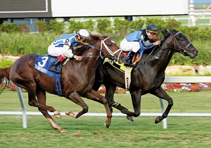 Einstein, #4, and Jockey Rafael Bejarano defeated Go Deputy #3 and John Velazquez in a thrilling stretch duel to win the $250,000 Gulfstream Park Breeders' Cup Turf (gr. IT) Saturday February 25, 2006.