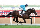 Brown Panther cruises to victory in the Dubai Gold Cup.