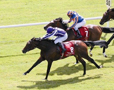 Aidan O'Brien's Treasure Beach, ridden by Colm O'Donoghue, wins the Dubai Duty Free Irish Derby from Seville June 26, 2011.