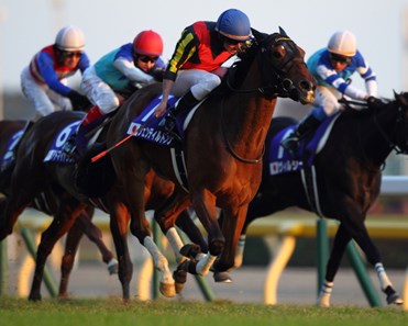 In an exhilarating finish to the 33rd renewal of the Japan Cup (Jpn-I), filly Gentildonna nosed out another filly, Denim and Ruby at Tokyo Race Course to become the first to win the prestigious event twice.