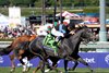 Mizdirection with Mike Smith wins the Breeders' Cup Turf Sprint.