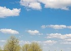 AHC Seeks Industry Input on Equine Study AHC Seeks Industry Input on Equine Study