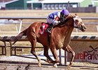 Page McKenney returns to dirt for the Roanoke Stakes.
