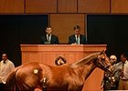 Hip 81, by Speightstown, sold for $235,000 dollars.