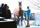 Keeneland January Sale Wrap: Day 1 Keeneland January Sale Wrap: Day 1