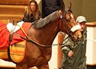 Lot #148, an Elusive Quality colt, sold for 760,000 guineas (US$1,215,999) at the Tattersalls Craven sale.