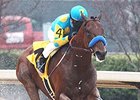 American Pharoah