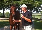 Keeneland September - Hip 61 by War Front Keeneland September - Hip 61 by War Front