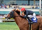 Imagining comes through with a victory in the Pan American Stakes.<br><a target="blank" href="http://photos.bloodhorse.com/AtTheRaces-1/At-the-Races-2015/i-hfgLtCd">Order This Photo</a>