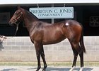 Hip 291, a Bernardini filly, topped Day 2, selling for $1.3 million.