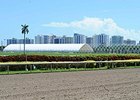 New stalls are under construction at Gulfstream Park.