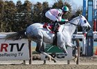 Redding Colliery and Alan Garcia take the Evening Attire at Aqueduct.<br><a target="blank" href="http://www.bloodhorse.com/horse-racing/photo-store?ref=http%3A%2F%2Fpictopia.com%2Fperl%2Fgal%3Fprovider_id%3D368%26ptp_photo_id%3D9805535%26ref%3Dstory">Order This Photo</a>